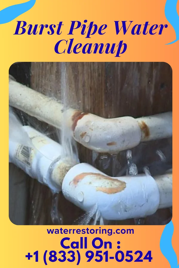 Burst Pipe Water Cleanup in Natchez, LA